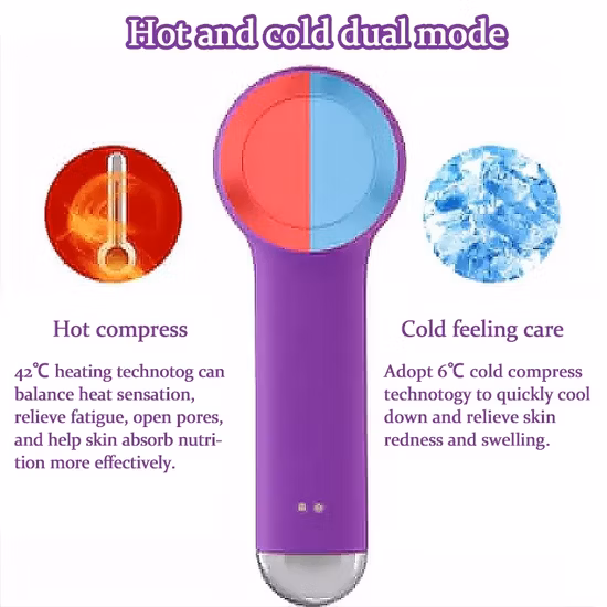 Beauty Massager Facial Cleansing Brush